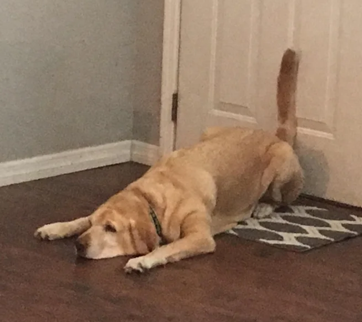 860b085e139dcd379742ae3702