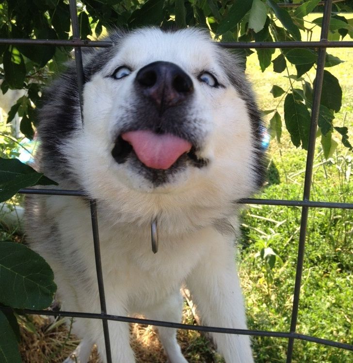 860e815e9bb3a1c04ac07709c6