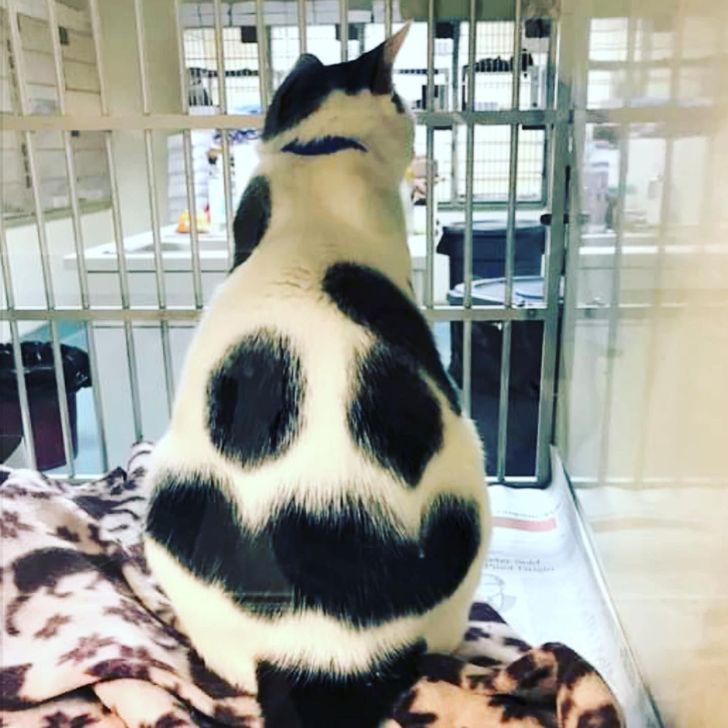 861e7f5d69a068276e2e1bf0c0