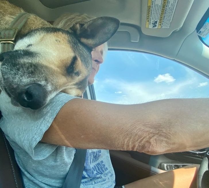 861ee8598ebb3c4500b0bd42d8