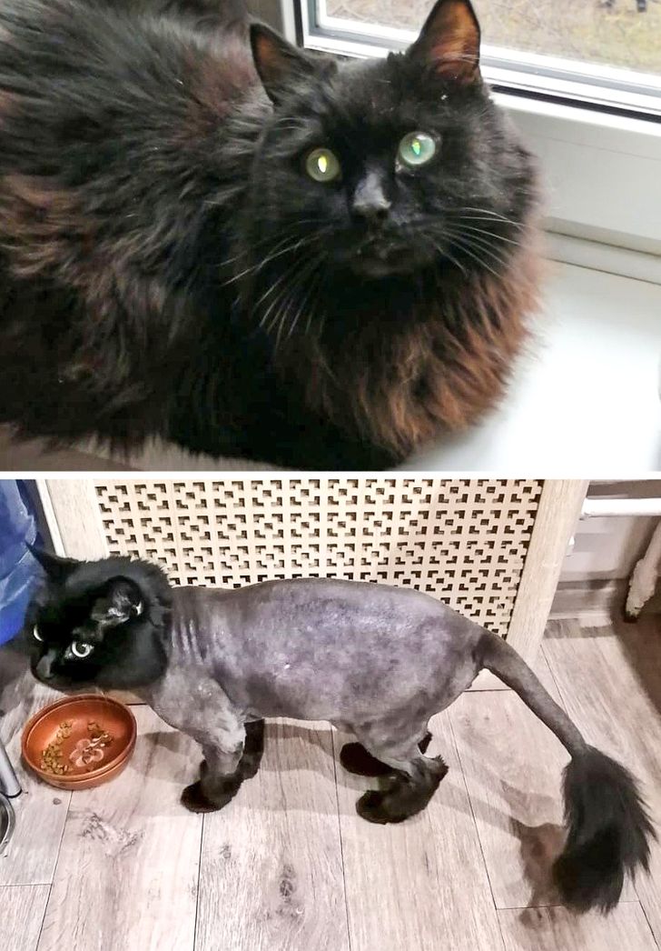 861eec5924ae4ada0b681f1a7f 861eec5924ae4ada0b681f1a7f