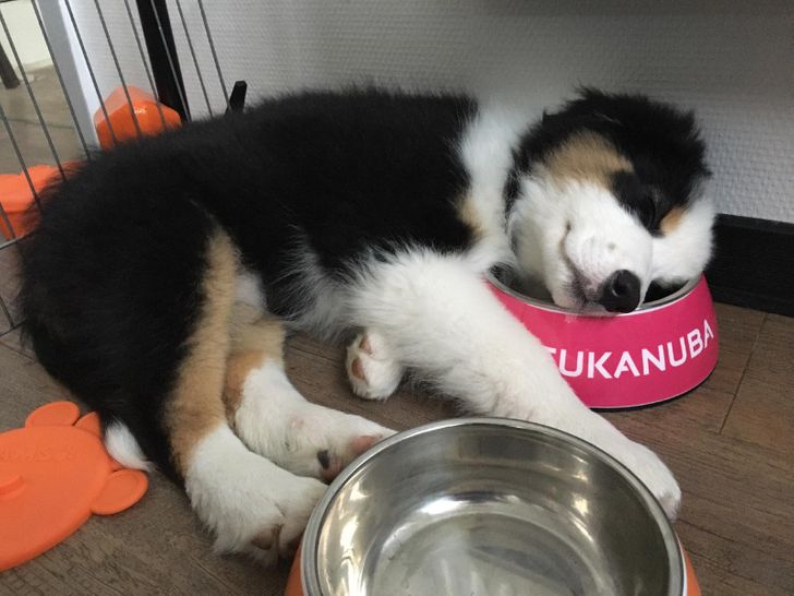 861f8f5cf68452c04d8a9cb2d2