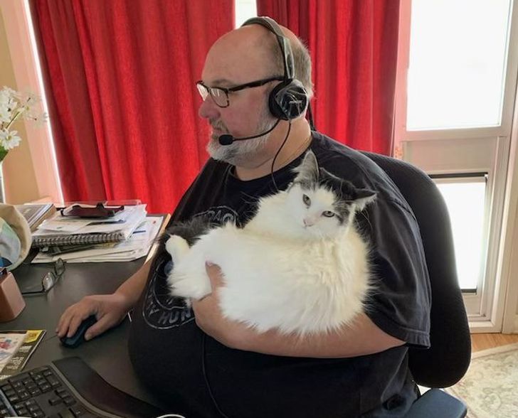 8621285fae820b74e0af894852