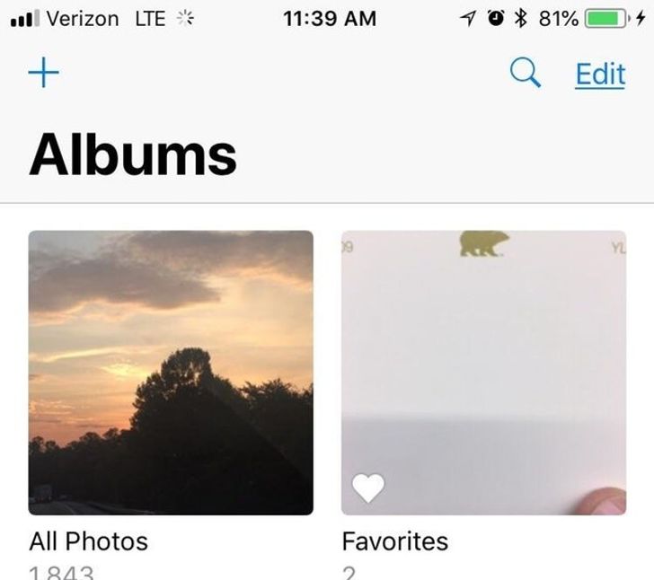 863315543dae50367c4a69c124