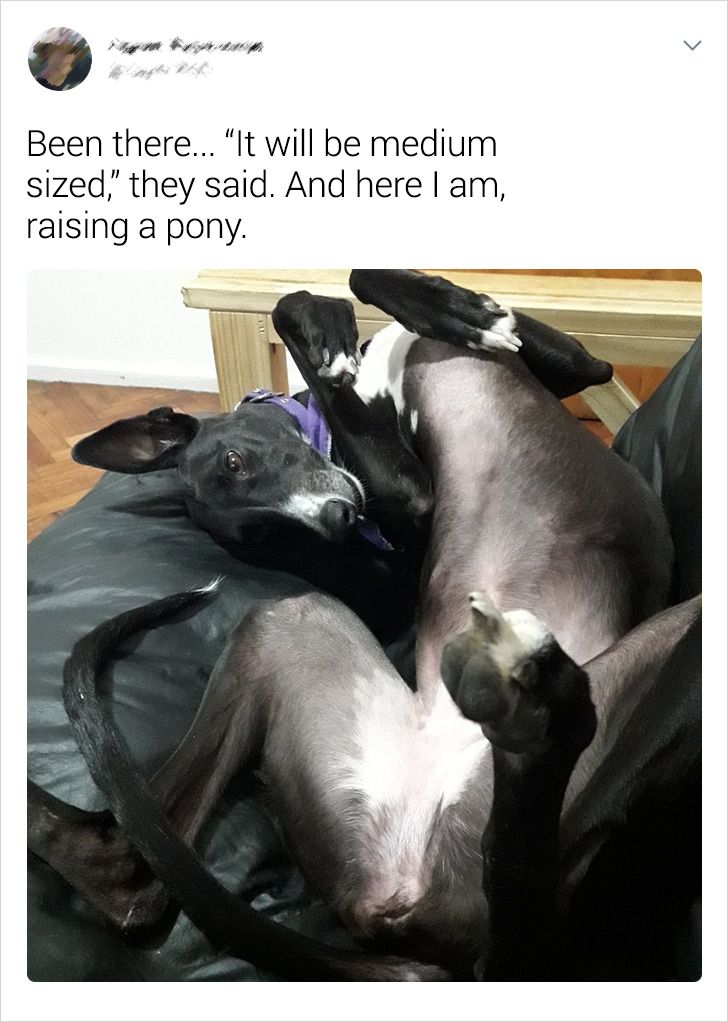 8635a256c6b1ef14680ec257be