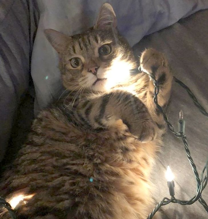 864009510ab7a71cdcdf791049