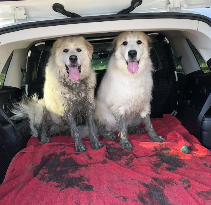 86408a511cb8dd6782f4c20b7d