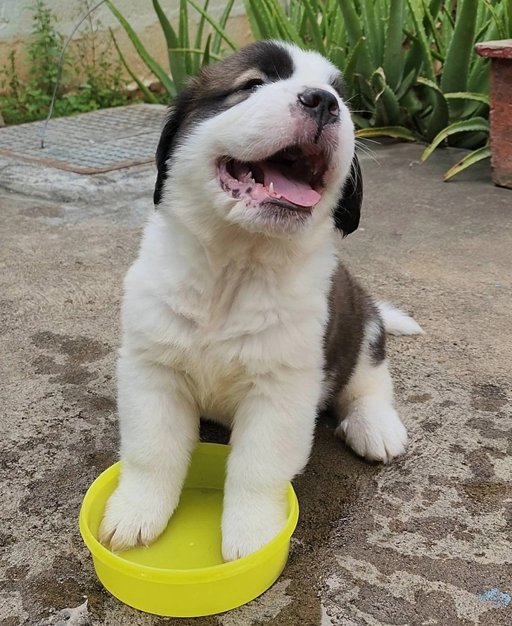 864213595199cff9d082dc0668 864213595199cff9d082dc0668