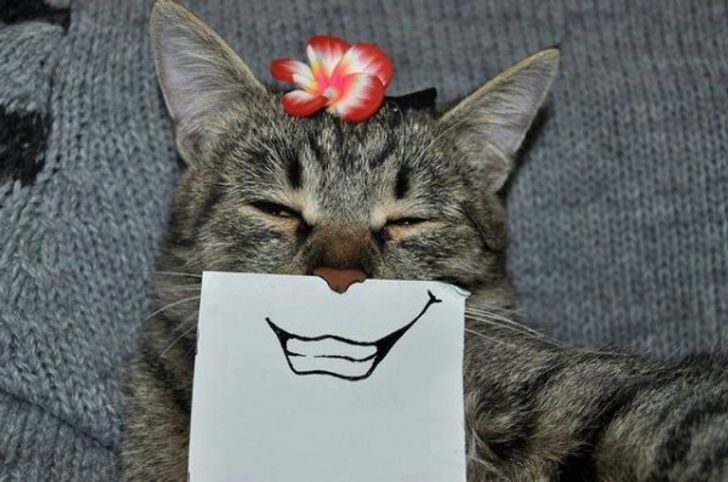 864a125c09afab63ca8c13b318