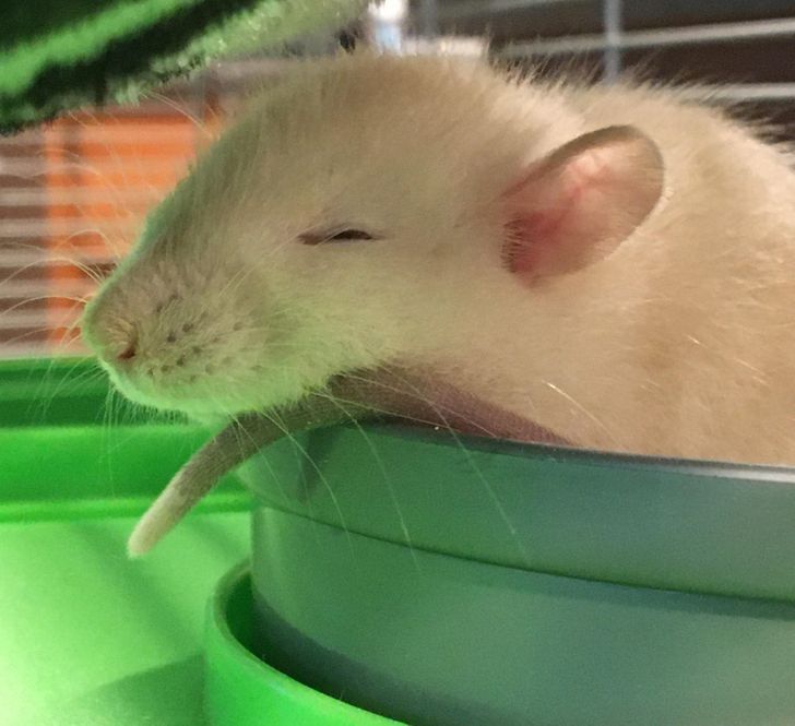 865c765aa5be4657aceb5d5487