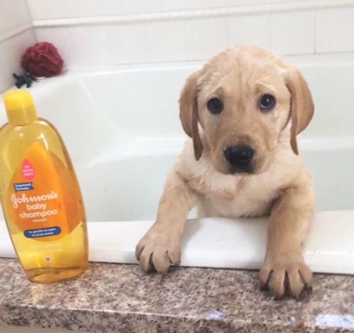 8664355cb8af7eade7b08c0918