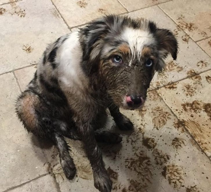 866a765de8a6983ad33d54fc04