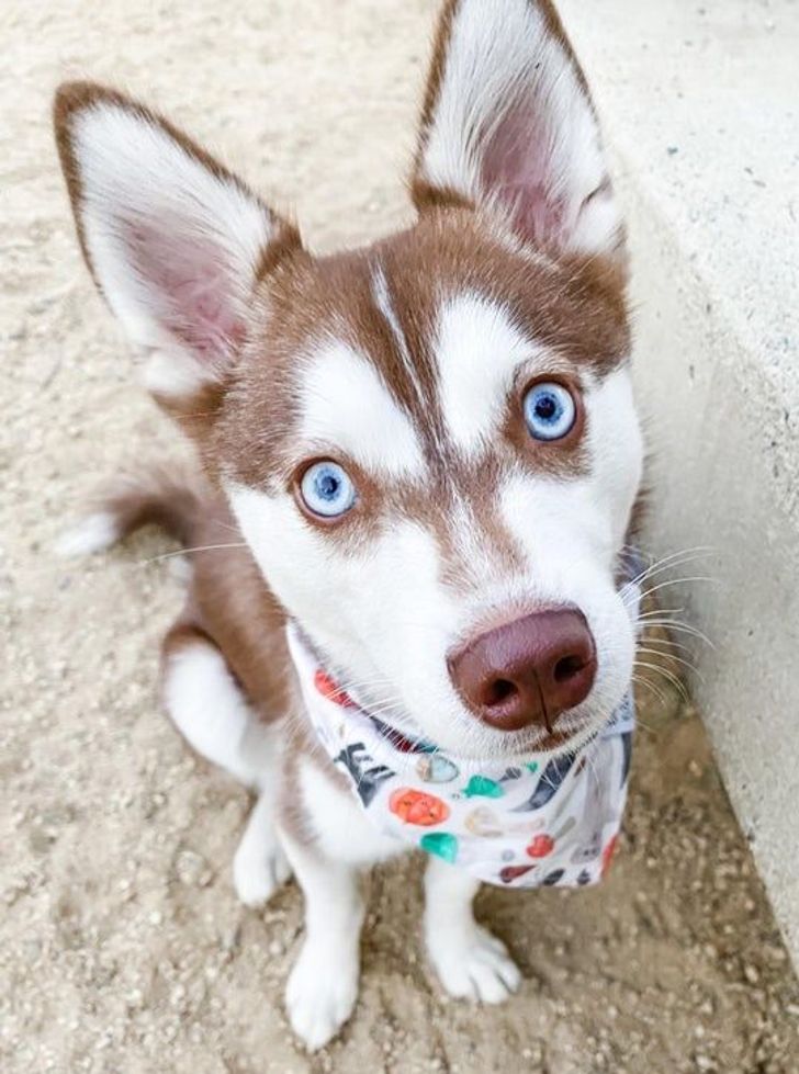 866ded503a9ad14ce1aa0e348b