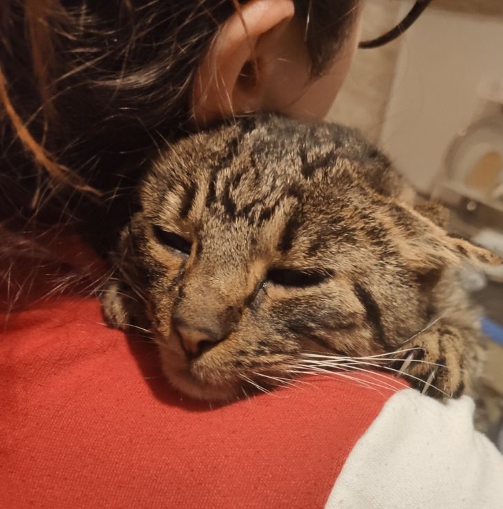 8676425d679d91f2636c185815