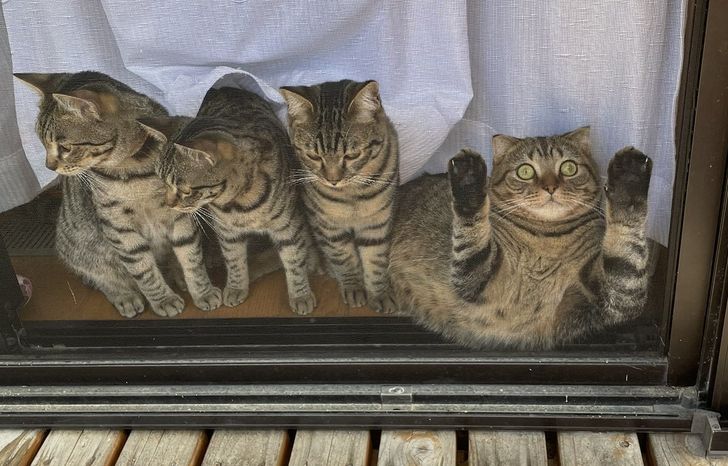 86766e5565a98e500f147b4dc6 86766e5565a98e500f147b4dc6