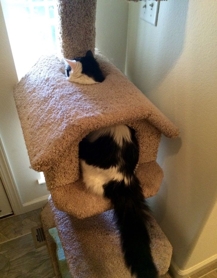 867aea583c98d84d13b5bb2d66