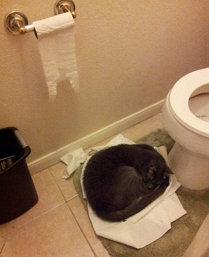 867ca757c5867c60ac1eb62d65