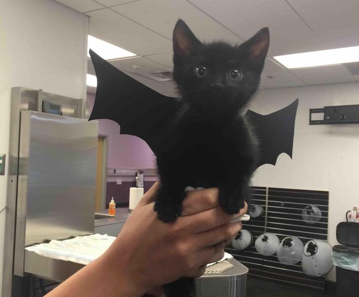 867ea356068e5c322321b5757f