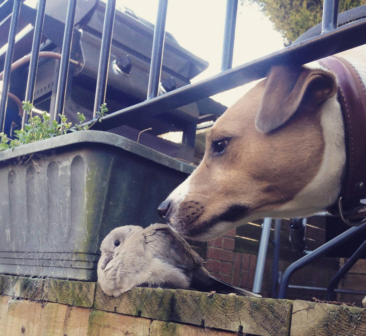 86817f5920a022585b194a87c0