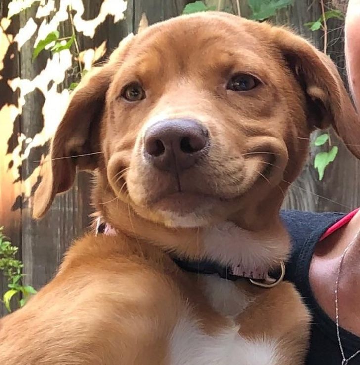 8681b85e6e83bbb6c160e0b4aa