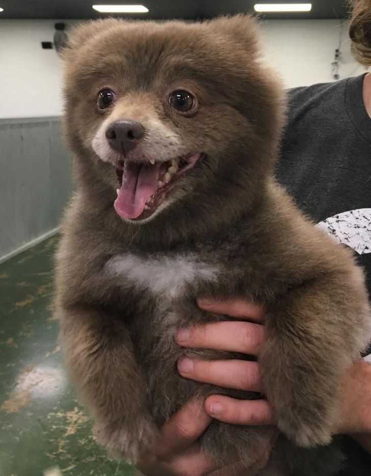 8683995b3a8f8e98dc18ddc3eb