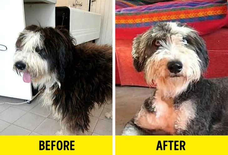 86860a5389a38753a27a6d3c8a