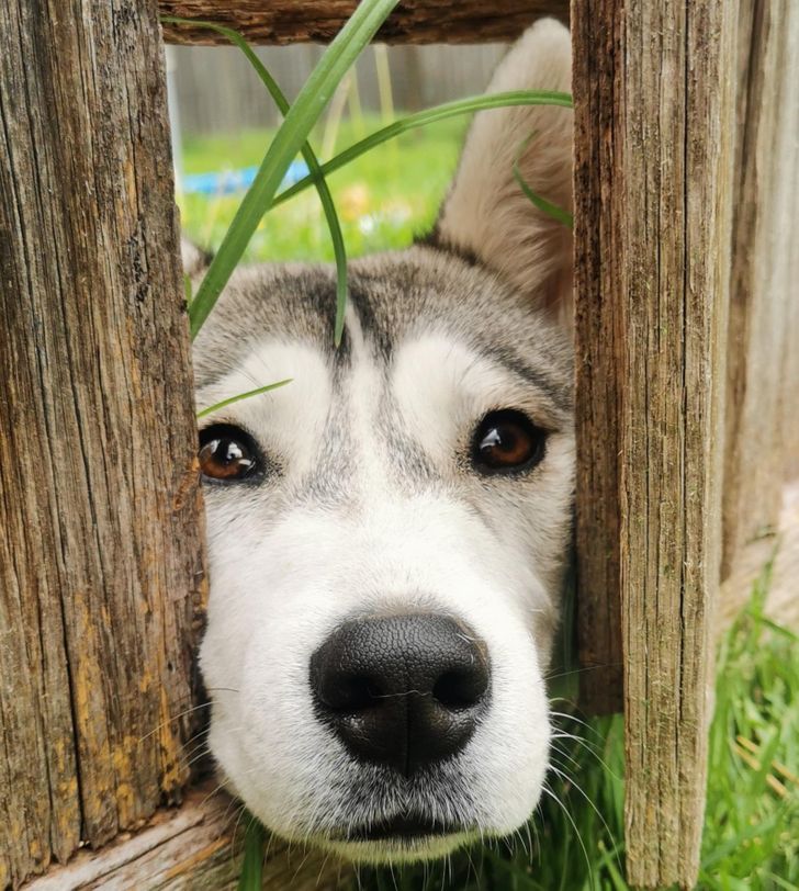 8687165906bd5d8d72234781cc