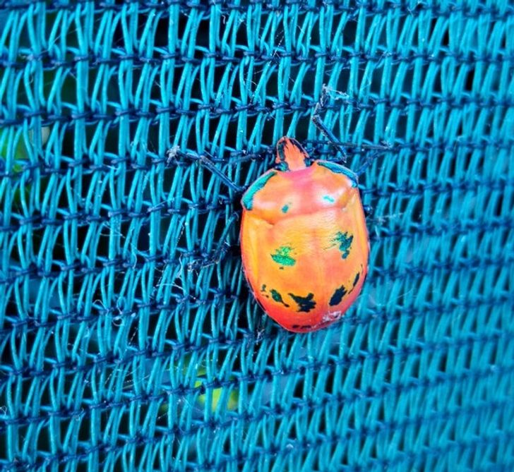 86898156a1a2bf6c8188f24686