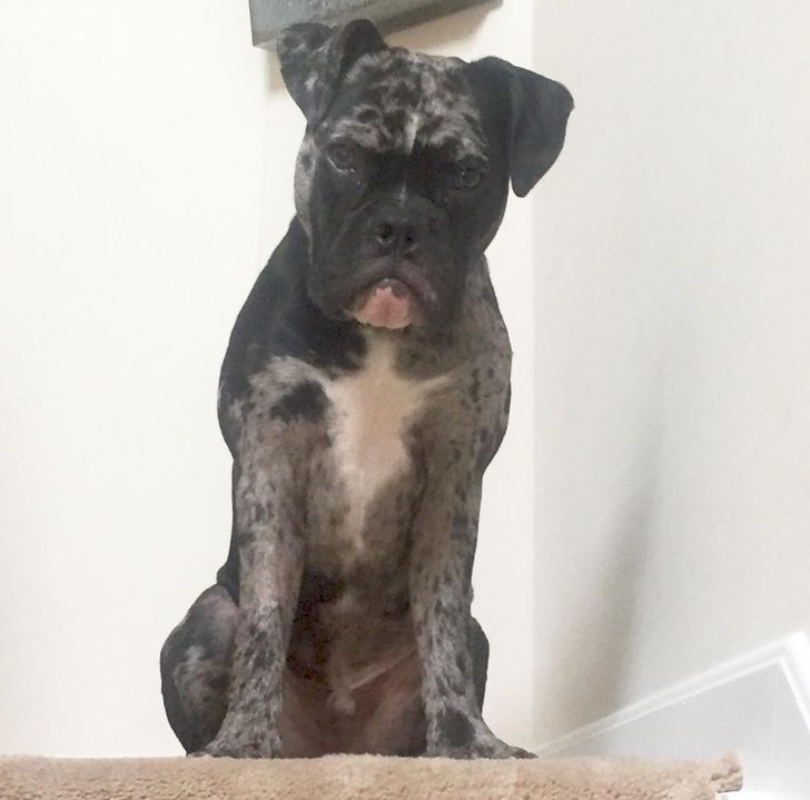 868c7e5ed4a0b27b78eb5b3745