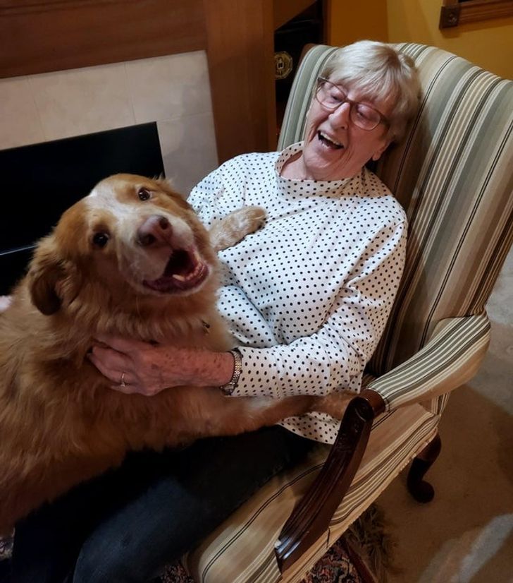 868e115baa87bb5c59a3460d9e