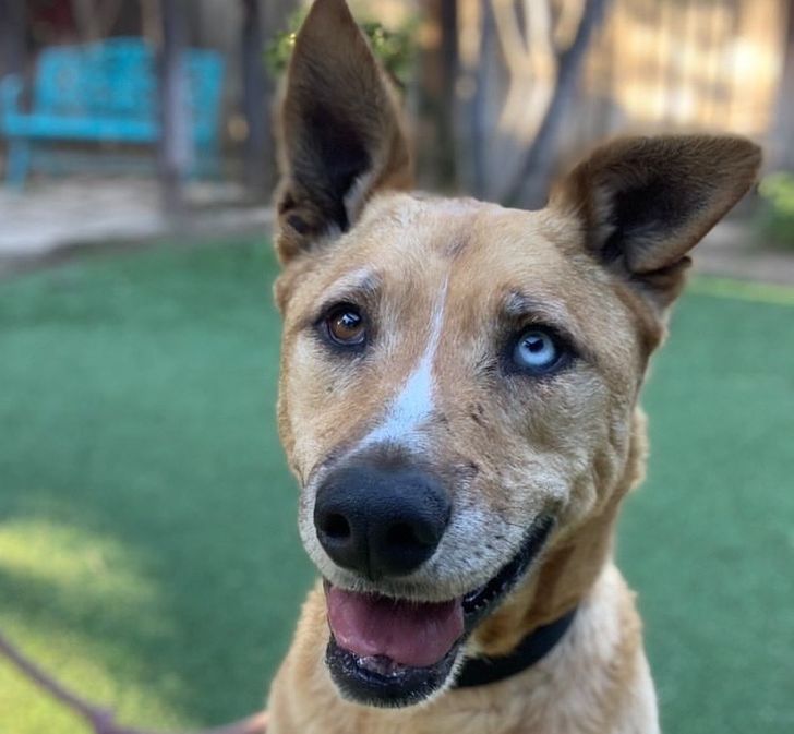 868f095cabab586082abbf06ab