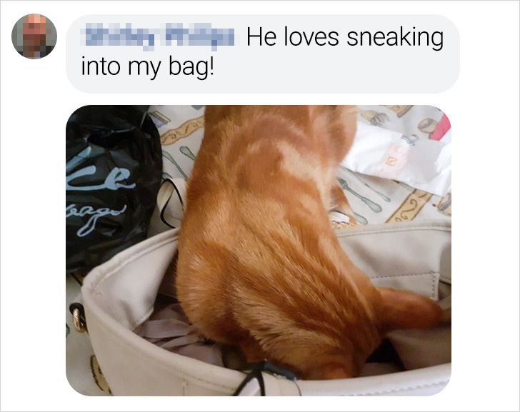 86a3af5677a917c2d22e33c0ef