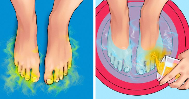 86a592520eae8c643b108fc5d2