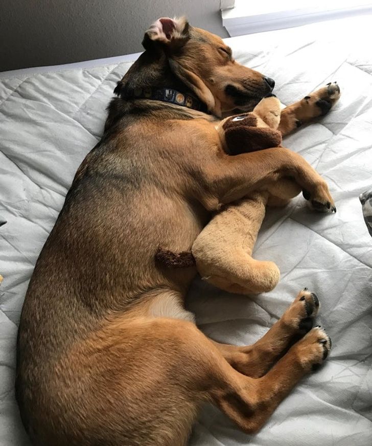 86b32a51ae9eded870da41f4f4