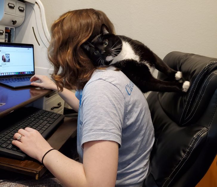 86bfc65a8c838f851d9ff577e1