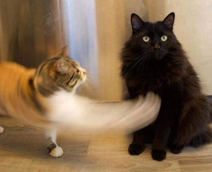 86c3fb50cdb3cd8297a06d0219