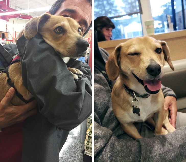 86cb845a0d925e519f3a47b832