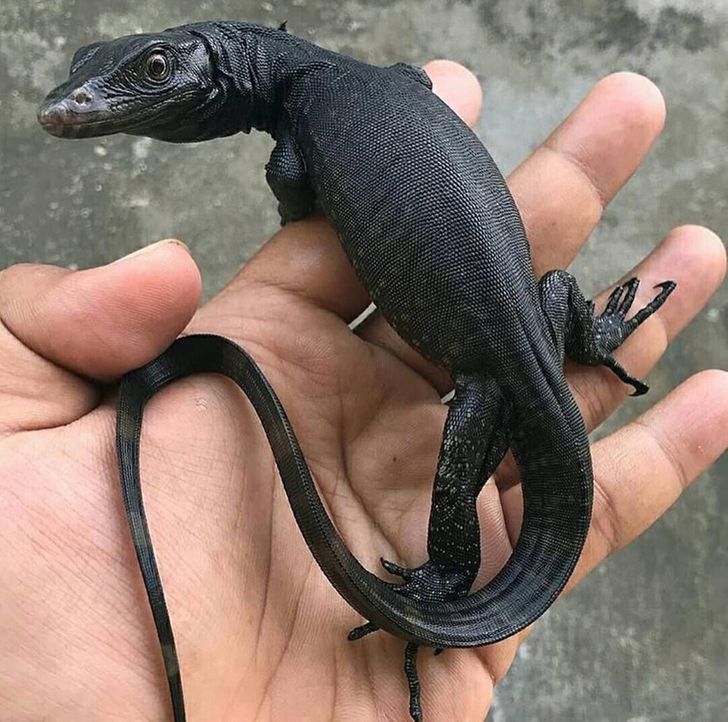 86cd785cc1b75d181d97e1ff89