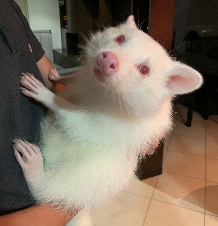 86d4115256904d1508bcd5bd2b