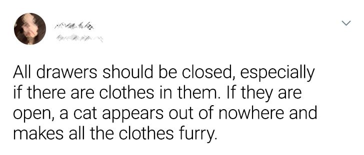 86d4645fe2ab19bf37539a3f9e