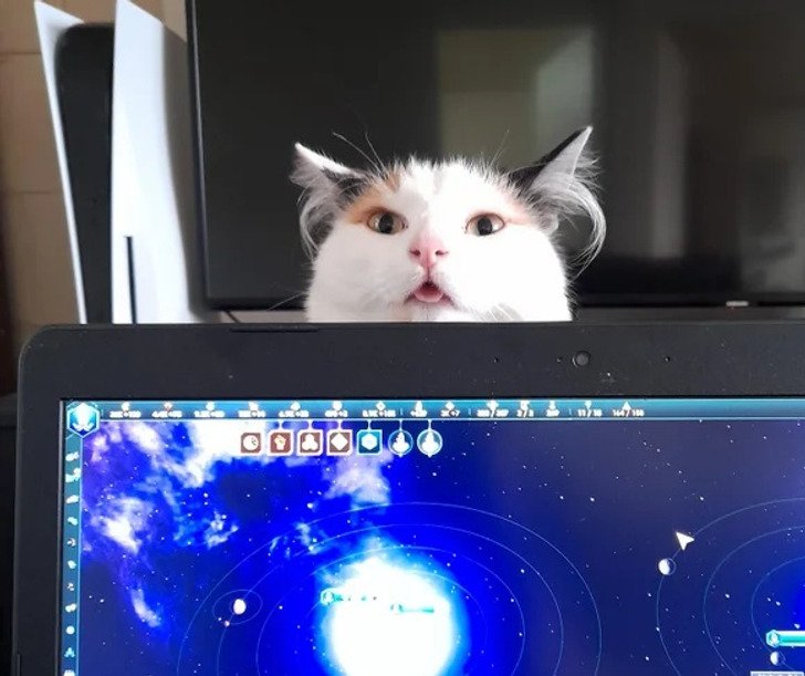 86daf8589bacf70f491f2ad61b