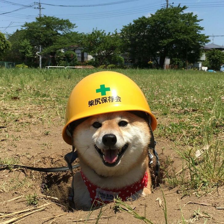 86e37450a5bb17ee9f4664449f