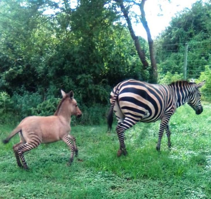 86e68554cbac1e6c3a27bc5271