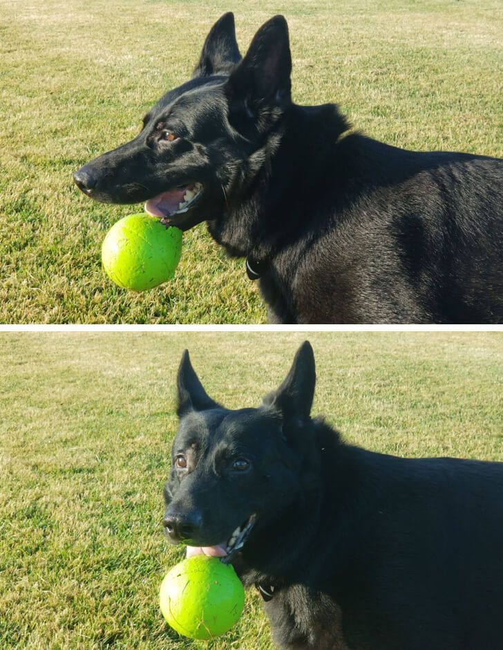 86e6b25759bea79e13a0067e1e