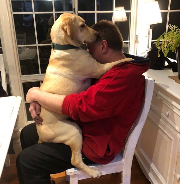 86e947521682790398ffa6a1c3