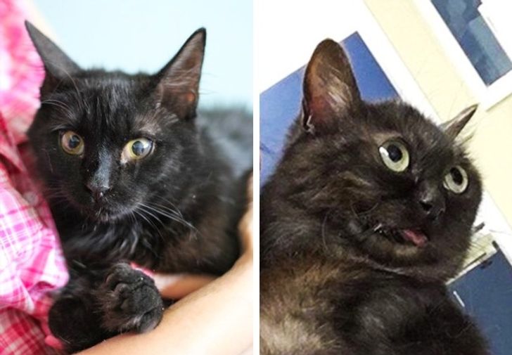 86e9ae50e18200db61ac29a147