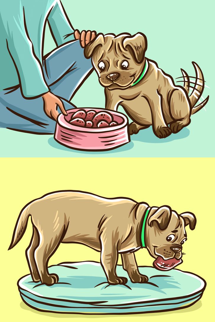 86ea325b9b8a48fa74e2f912ee