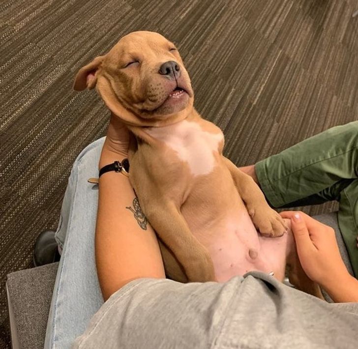 86efa158a4b12abd7c5cd7599a