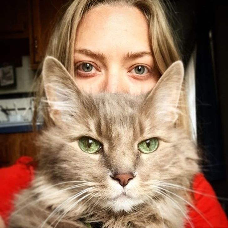 86fcfd5c67b0a1a6abcc70bc43