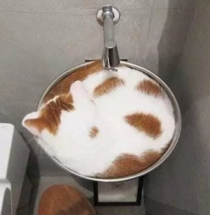 86fd195655ab1b3acd6aa634ff